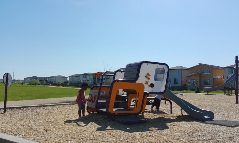 Smart Play Cube play structure featuring slides and activity panels for ages 2-5 at Firestone Park
